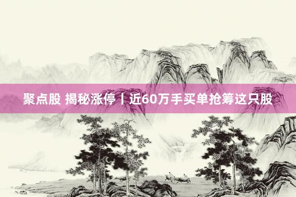聚点股 揭秘涨停丨近60万手买单抢筹这只股
