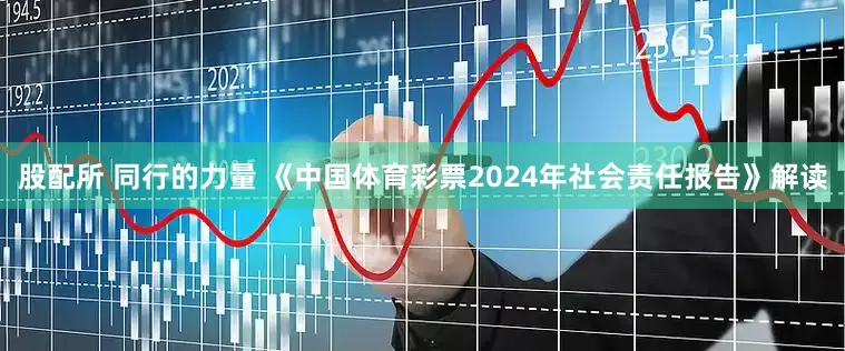 股配所 同行的力量 《中国体育彩票2024年社会责任报告》解读
